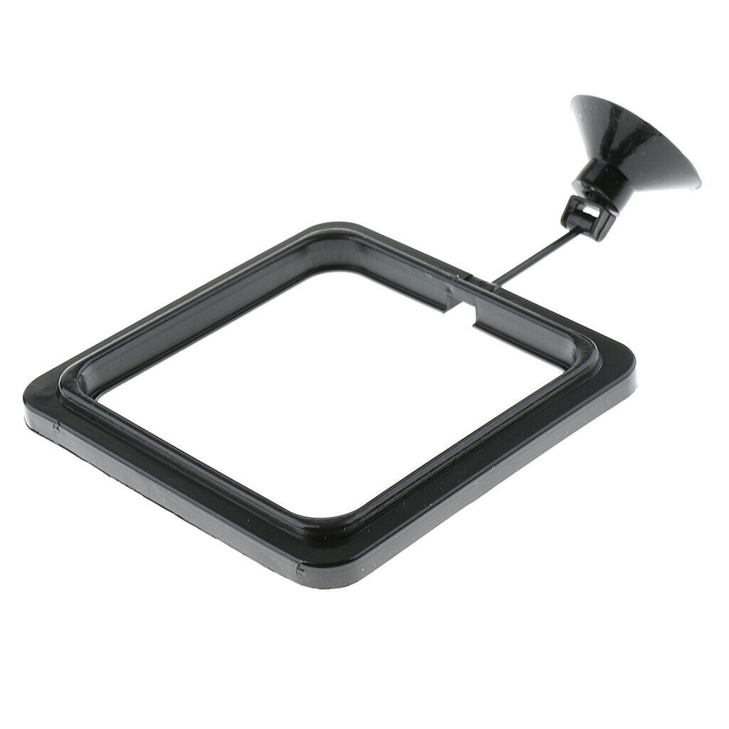 Practical Floating Food Square - Reduces Waste & Maintains Water Quality for