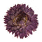 Colorful Dry Flower Chrysanthemum Natural Dried Flower Heads Wedding Flower