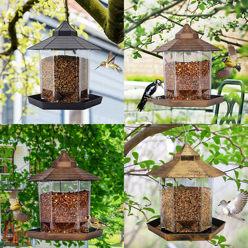 Bird Feeder Bottle Flower Shape Sensation  Coneflower Bird FeederB-qkM TL