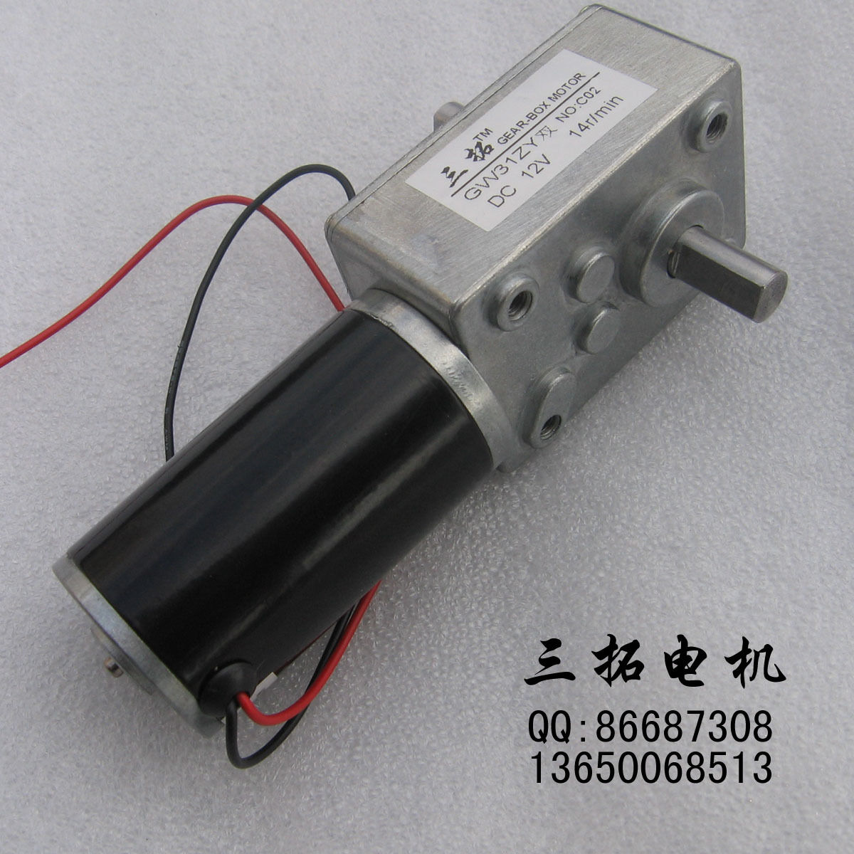 DIY Robot GW31ZY DC 12V 14RPM 8mmx13mm Double Shaft Worm Geared Motor