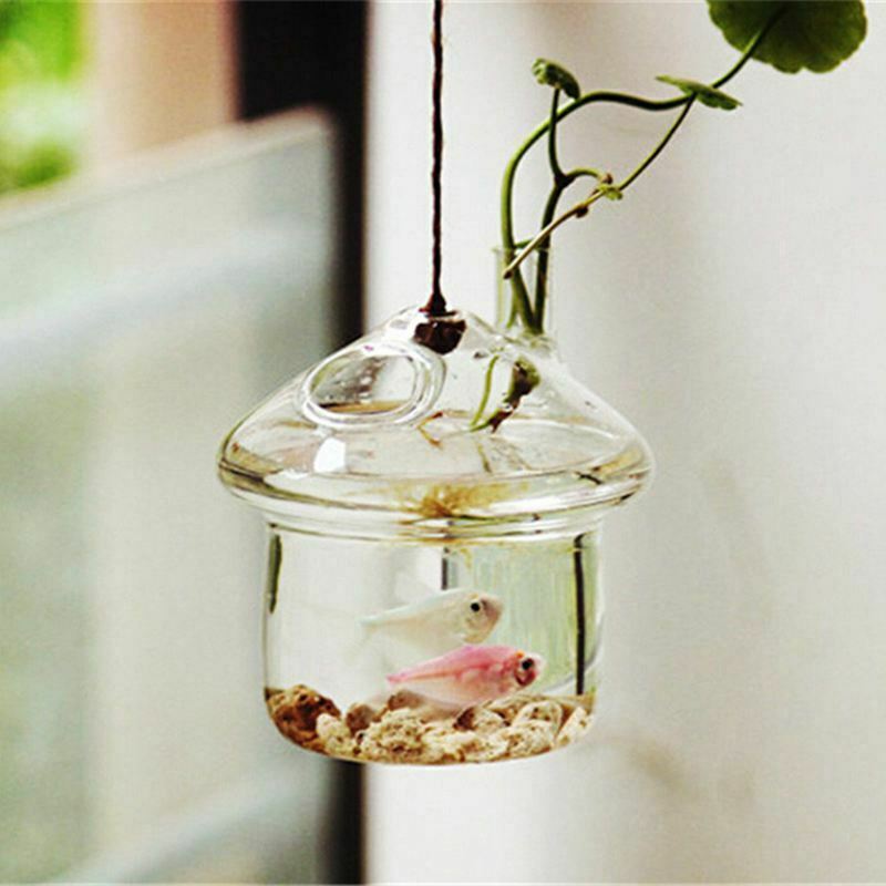 Mushroom-shaped Hanging Glass Planter Vase Rumble Fish Tank Terrarium ContaineD1