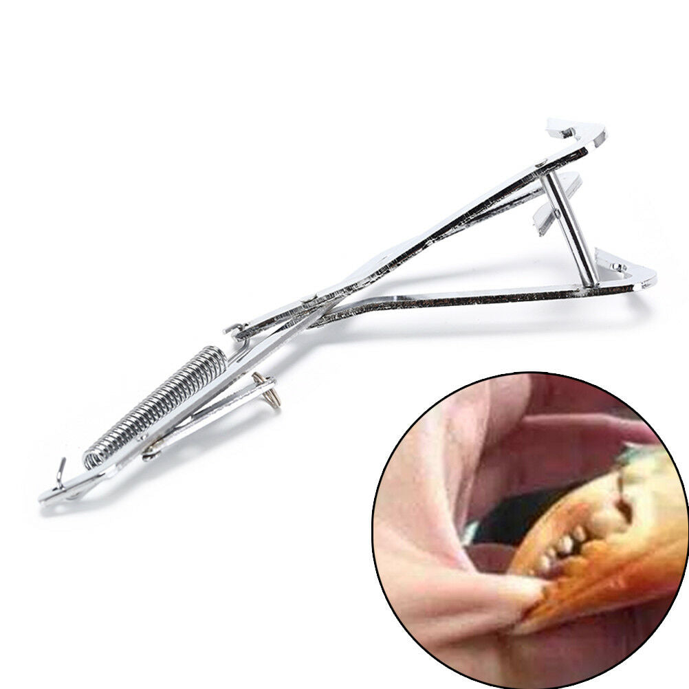 1XProfessional Hecht Fallen Lockt Angeln Fallen Hecht Angelhaken Freies Shi  FDD