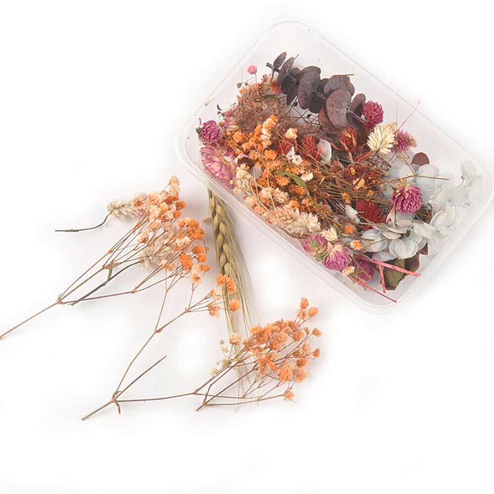 1 Box Mixed Dried Flower Eucalyptus Photo Frame Handmade Soap Candle Epoxy DIY