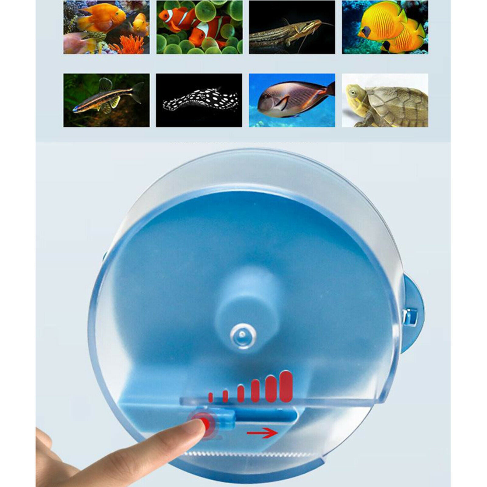Automatic Fishing Feeder Aquarium Tank Auto Food Dispenser Battery Weekend