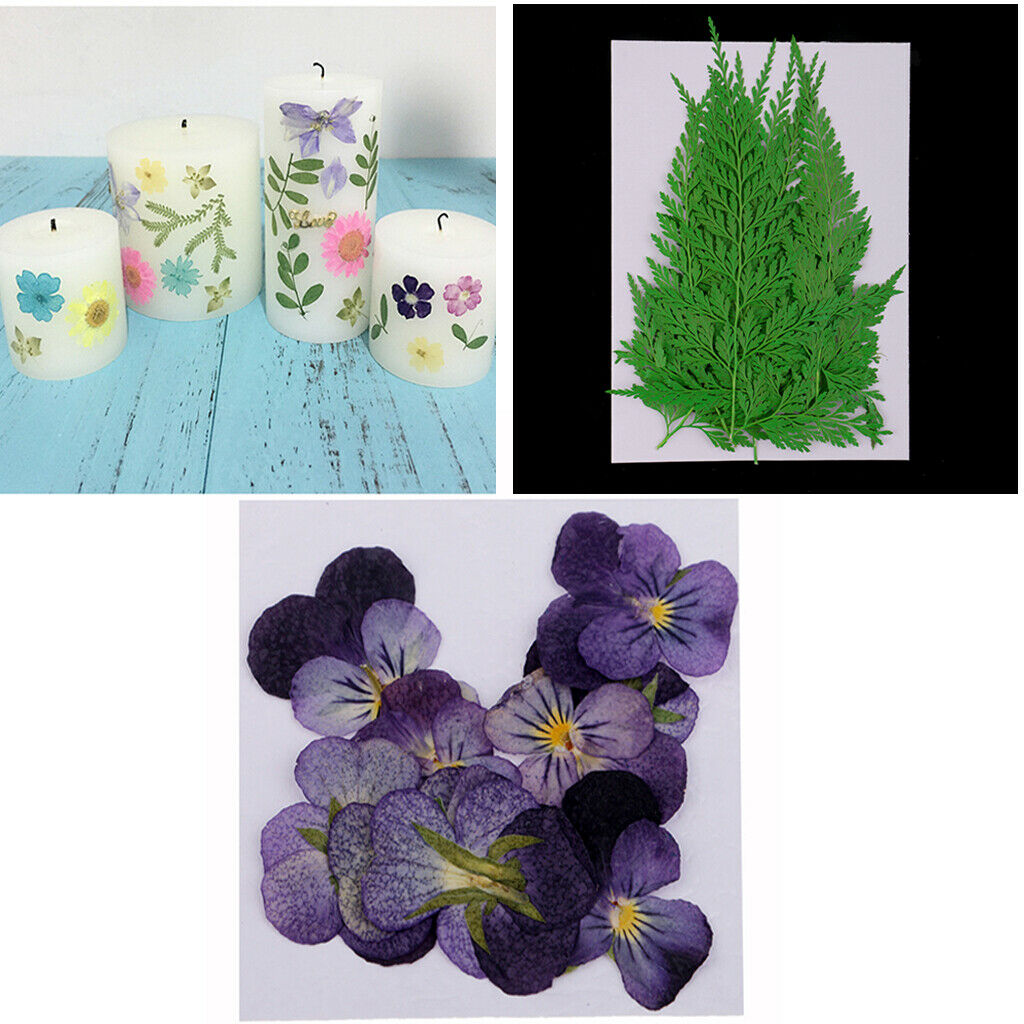 24pc Pressed Dried Flowers Leaves for DIY Arts Crafts Scrapbooking