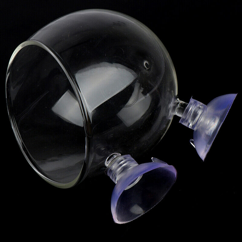 Fish Tank Mini Crystal Glass Pot Water Potted Aquatic Planting Cylinder C.l8