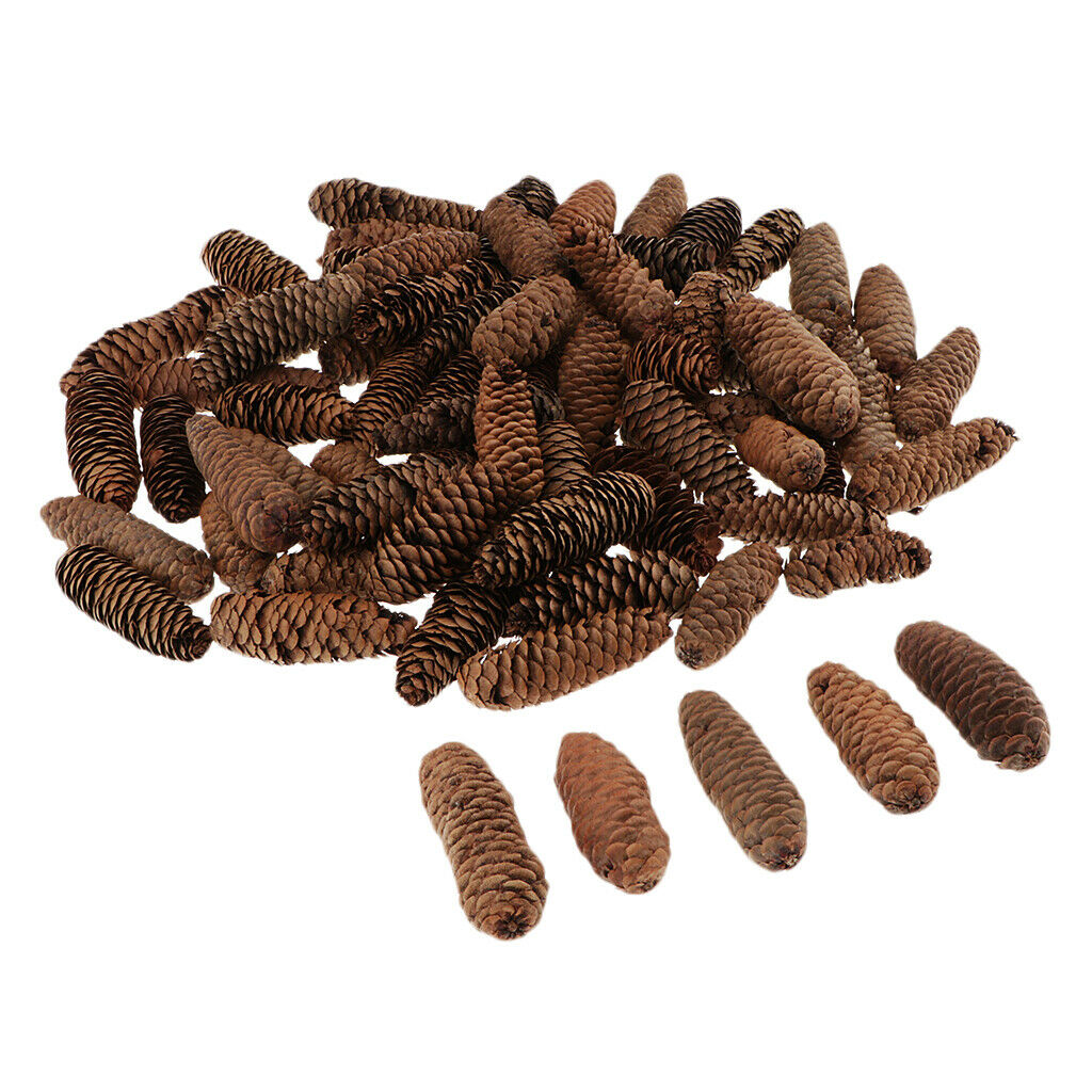 1KG Pine Cone Pineal Nuts Party Decoration Adornment Vase Bowl Fillers 1-6cm