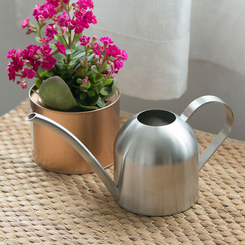 Indoor Outdoor Decorative Metal Watering Can 500ml Stainless Steel Garden Tool