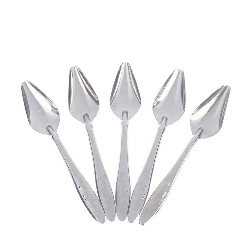5Pc Baby Bird Pointed Feeding Spoon Stainless Steel Milk Medicine Parrot Fee CH
