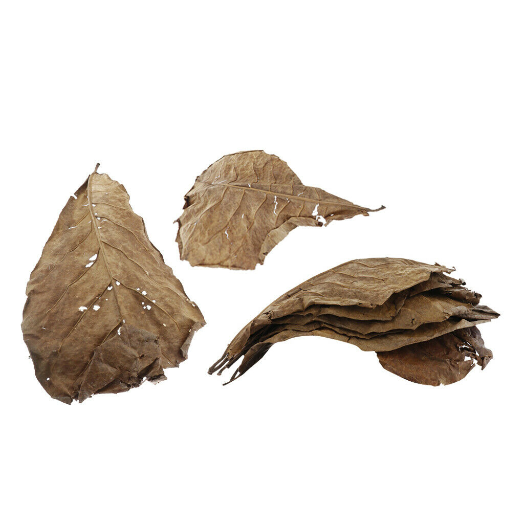 10pcs Leaves For Freshwater Aquariums
