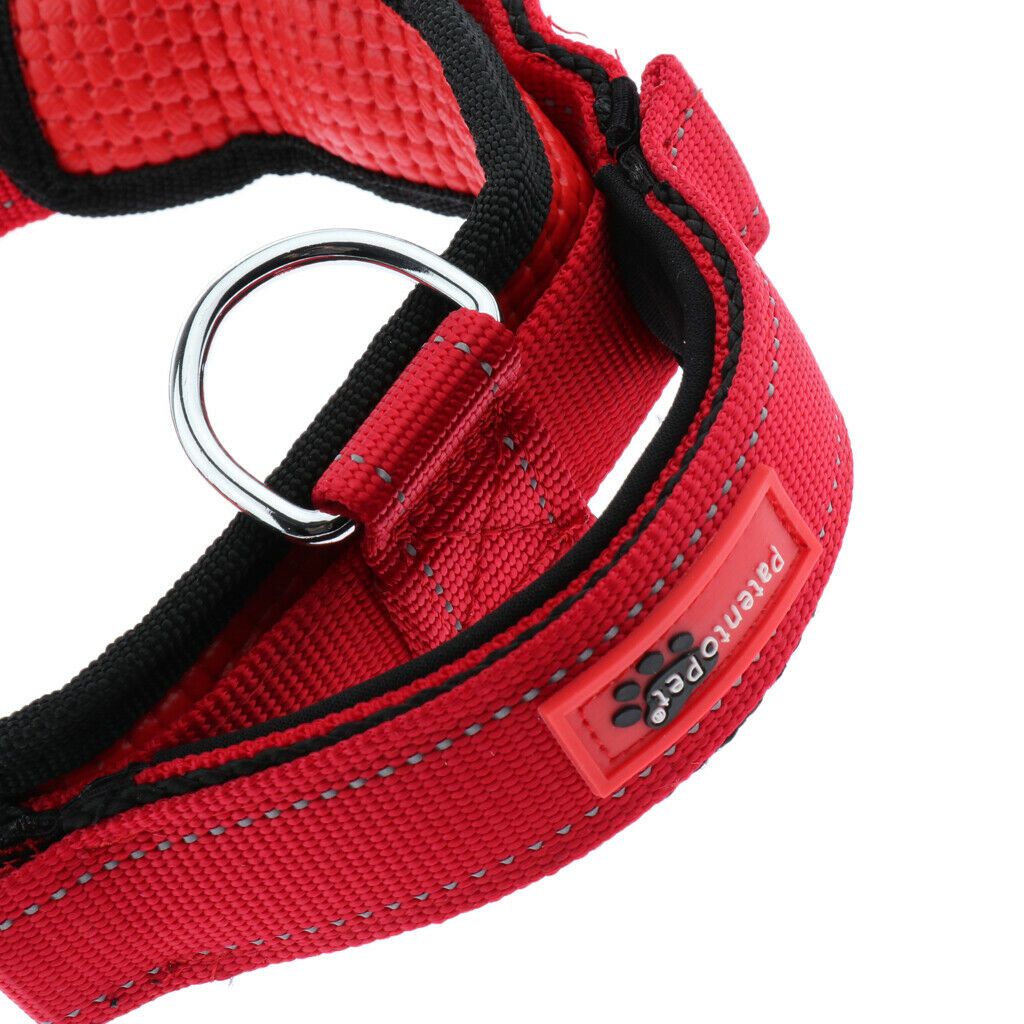 Pet Dog Collar Neck Belt with Adjustable Strap Dog Cat Pet Accessories Red