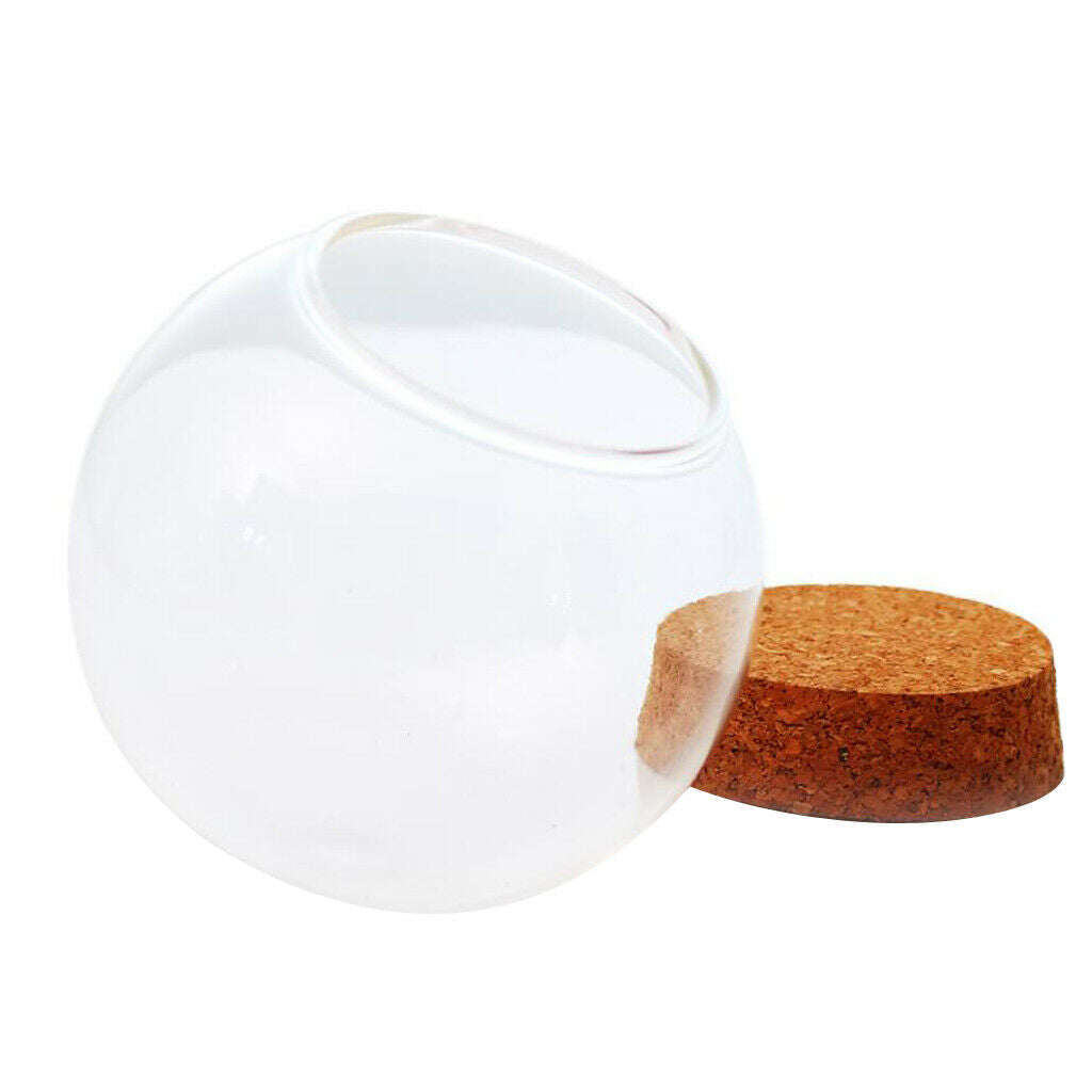 Ball Shaped Glass Cleal Dry Flower Container Succulent Terrarium Bottle