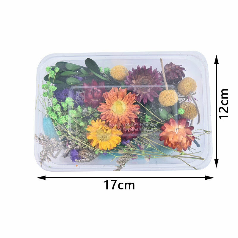 1 Box Dried Flower Real Dry Plants For Aromatherapy Candle Craft DIY Accessor Rf