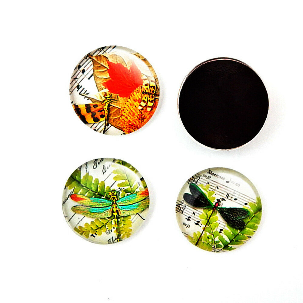 10X Insect Needle Minder Keeper Glass Magnet Cross Stitch Embroidery Sewing DIY