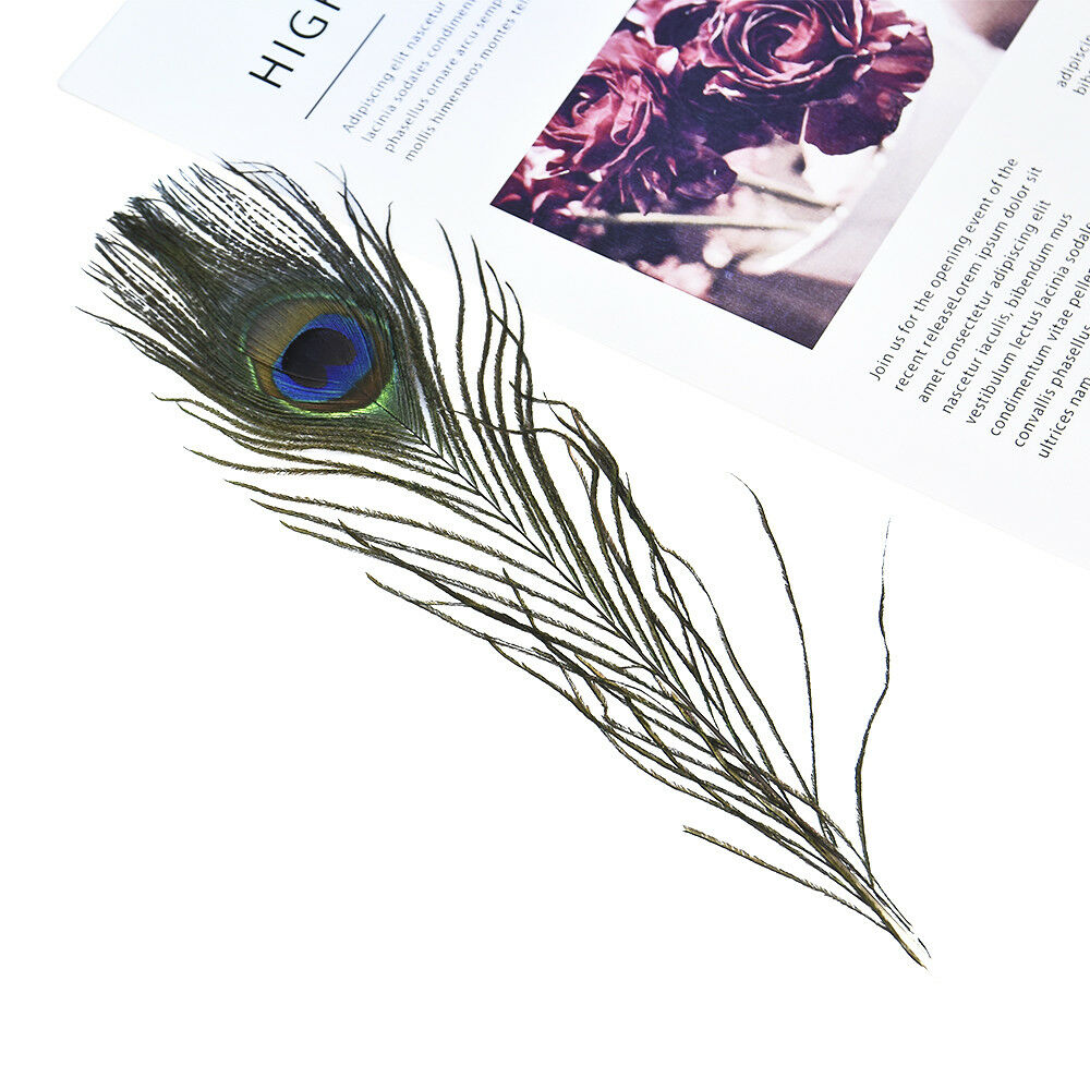 10PCS Real Natural Peacock Tail Eyes Feathers Wedding Festival Party Home Decor