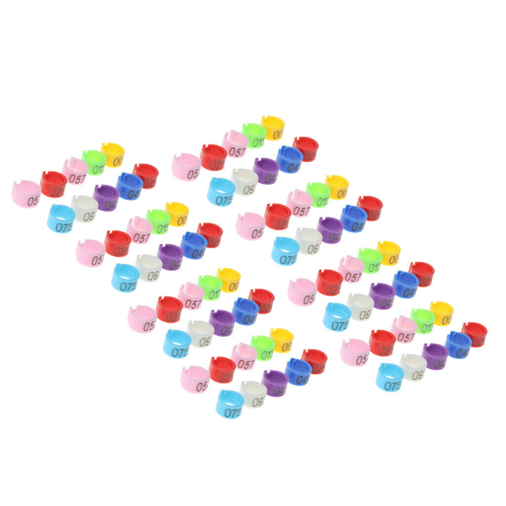 50x Bird Rings 7mm Leg Bands Pigeon Foot  Chicks Bantam Poultry Colourful AU