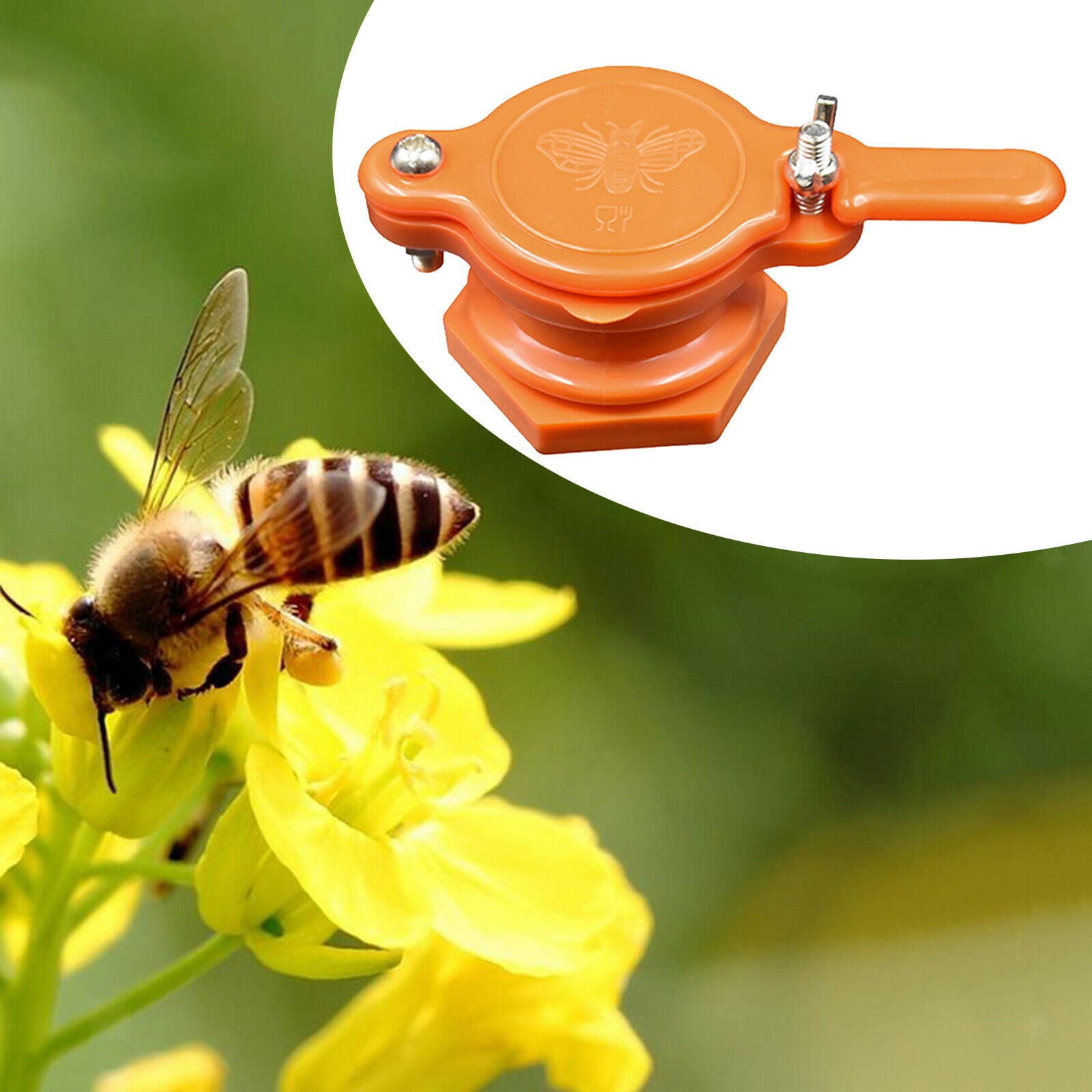 Honey Valve Honey Extractor Beekeeping Honey Bottling Tool Supplies Orange
