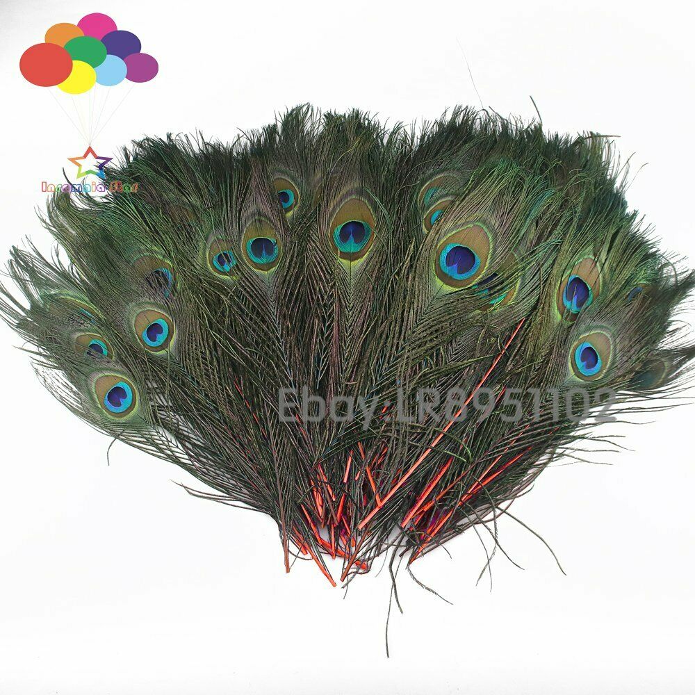 100 Pcs/Lot Red Real Peacock Feathers For Crafts 25-30cm dress is with Home Diy