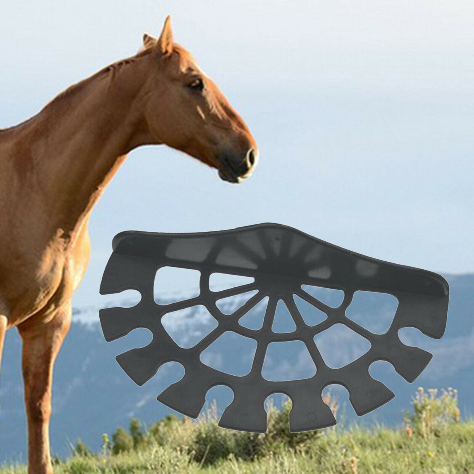 Horse Stables Crop Equipment Whip Rack Bracket Riding Whips Hanger Holder