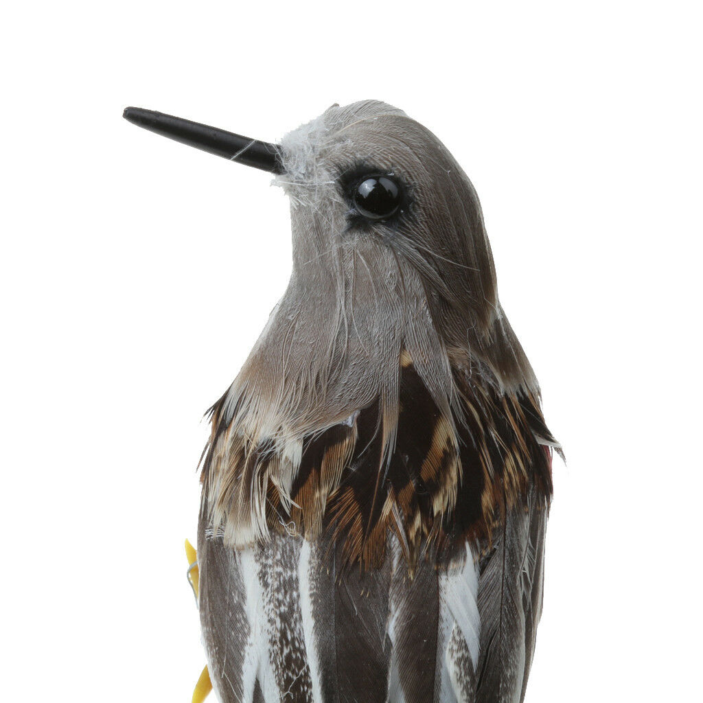 Handcraft Bird Feathered Bird Garden Home   Tree Decor Lifelike 12cm #6