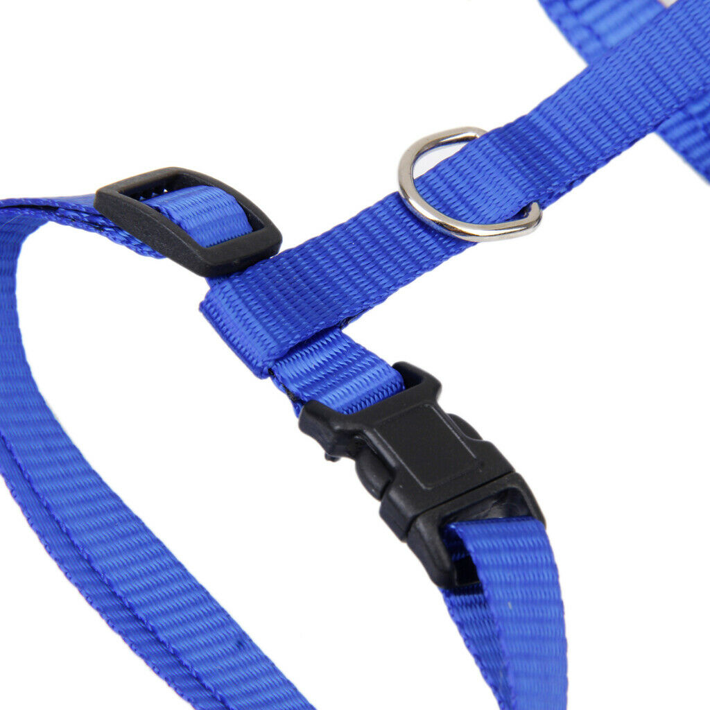 Blue Adjustable Pet Cat Kitten Belt Nylon Collar Leash Harness Safety Strap