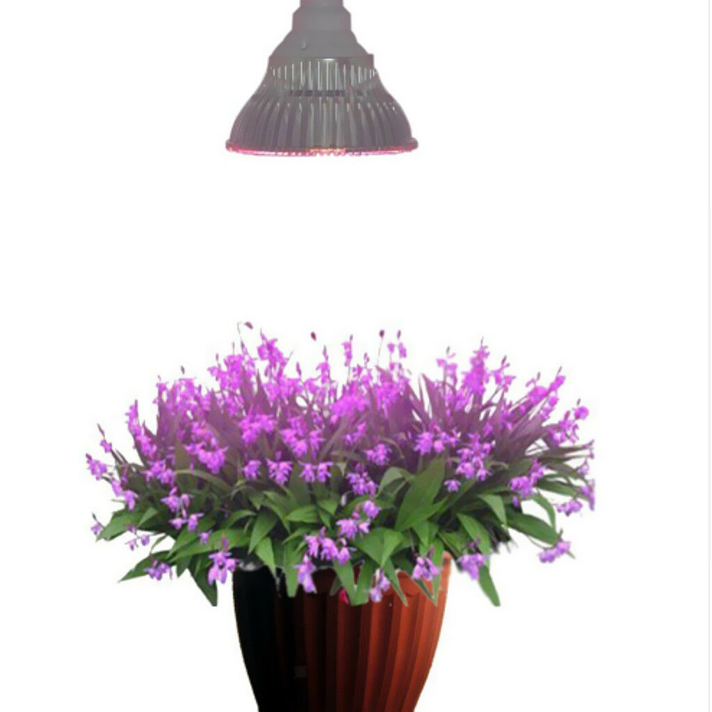 Full  LED Grow Light Indoor Grow Tent Plants Growth and Flowers 10W