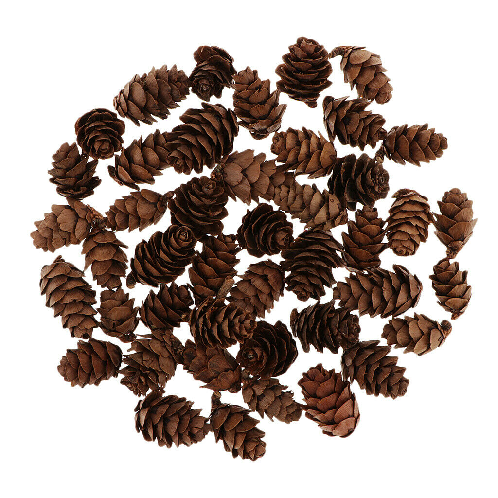 60 Natural Pine Cones 1-2cm Pinecone Florist Crafts for Home Table Ornaments