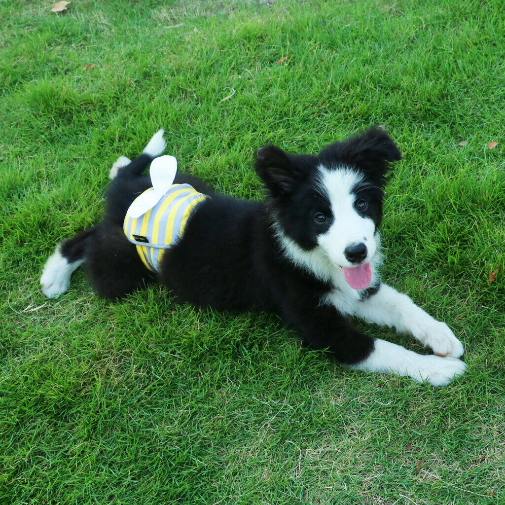Male Pet Dog Pants Bitch Season Menstrual Sanitary Nappy Diaper Yellow S