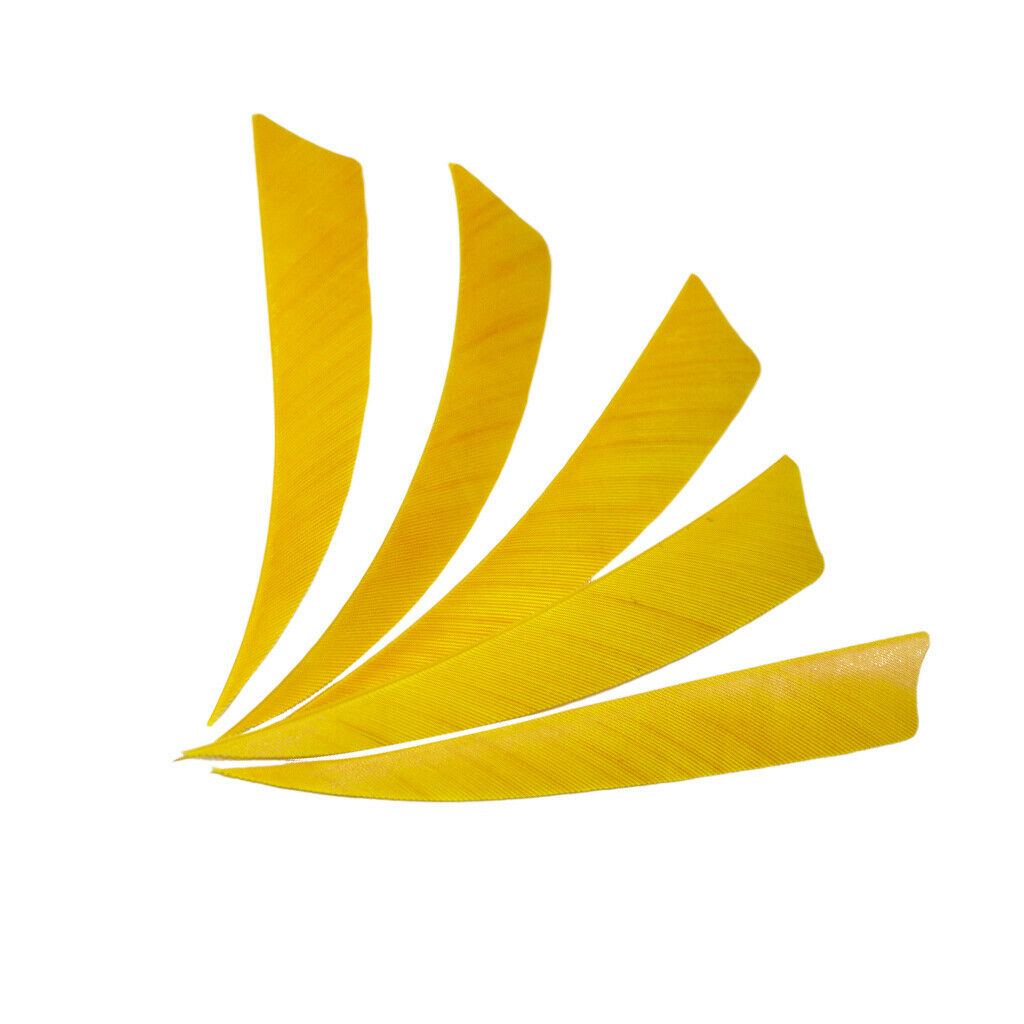 2X 5-Piece Natural Feather Archery Arrow Fletching Left Wing Shield Cut Yellow
