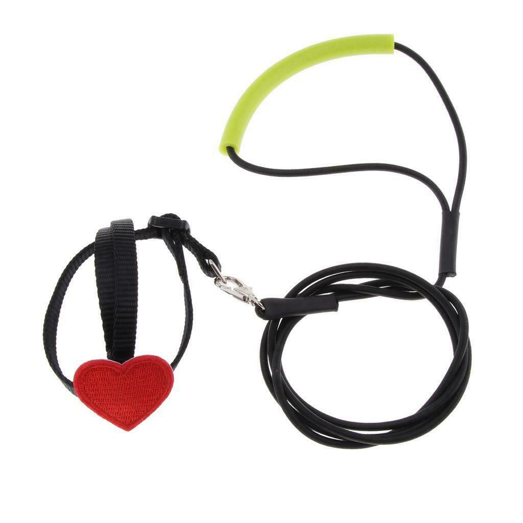 2pcs Soft Elastic Parrot Bird Leash for Budgerigar Lovebird Cockatiel 105cm
