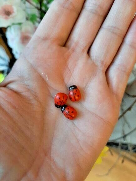 100pcs/lot Mini Cabochon Ladybug Fairy Garden Miniatures Garden Ornament Crafts