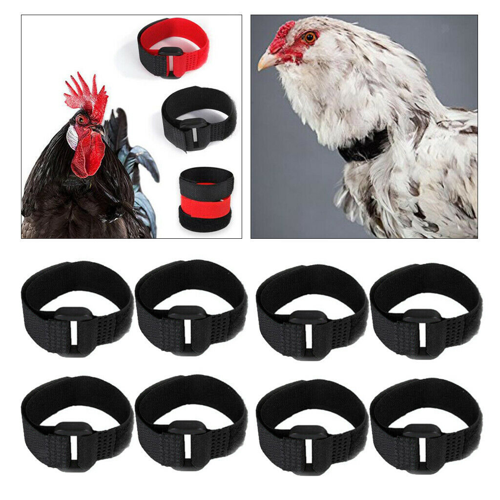 8x Chicken Collar Prevent Chicken from Disturbing Neighbors for Duck Black