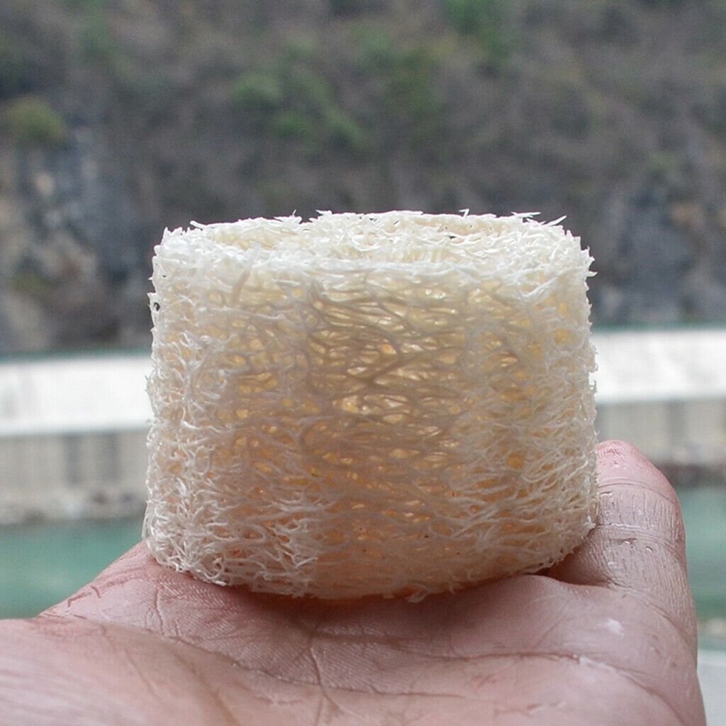 4 Pieces Bathroom Kitchen Loofah Soap Dishes Boxes Holders Sponge Containers