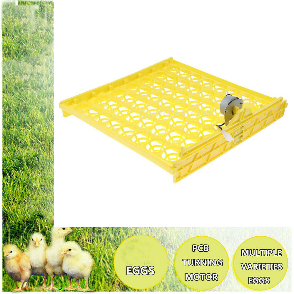 220V 56-egg Auto Egg Turner Tray Egg Incubator Turner Hatcher Brooder for