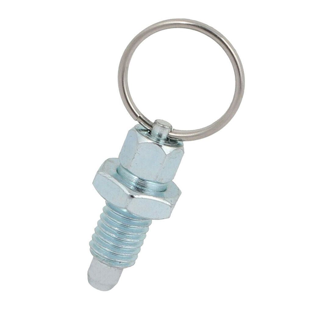 Durable M8/M10/M12/M16 Index Plunger With Ring Pull Spring Loaded Lock Pin Steel