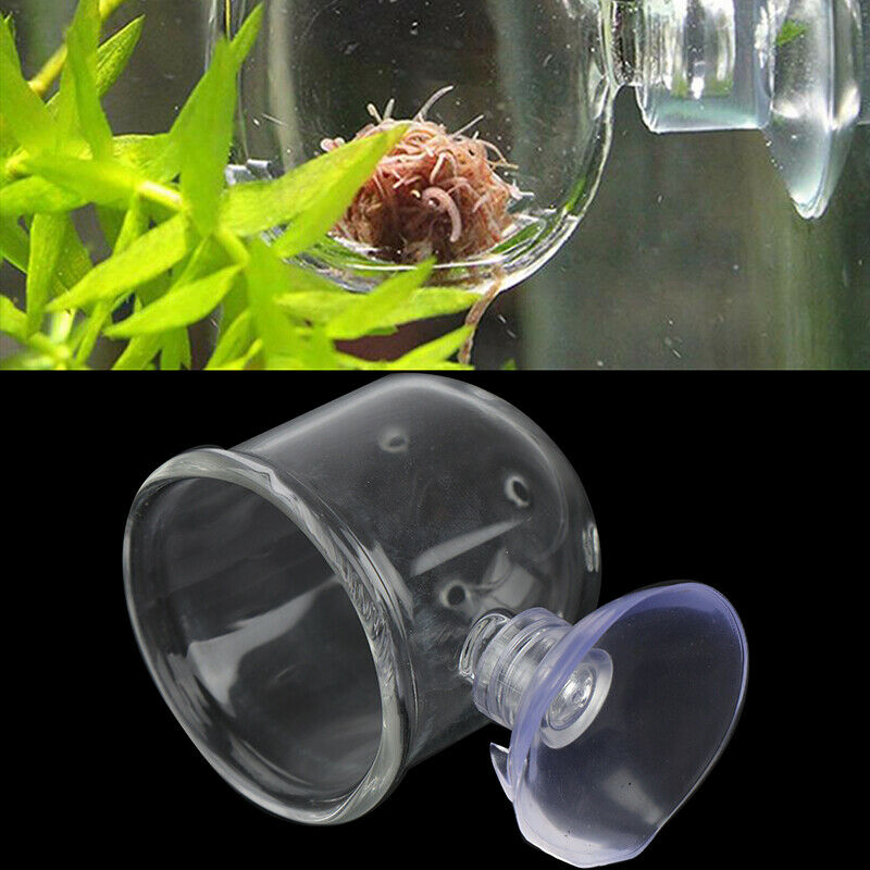 Pinhole Pot Plant Feeding Cup Holder Shrimp Aquarium Fish Tank Aquatic Fe.l8