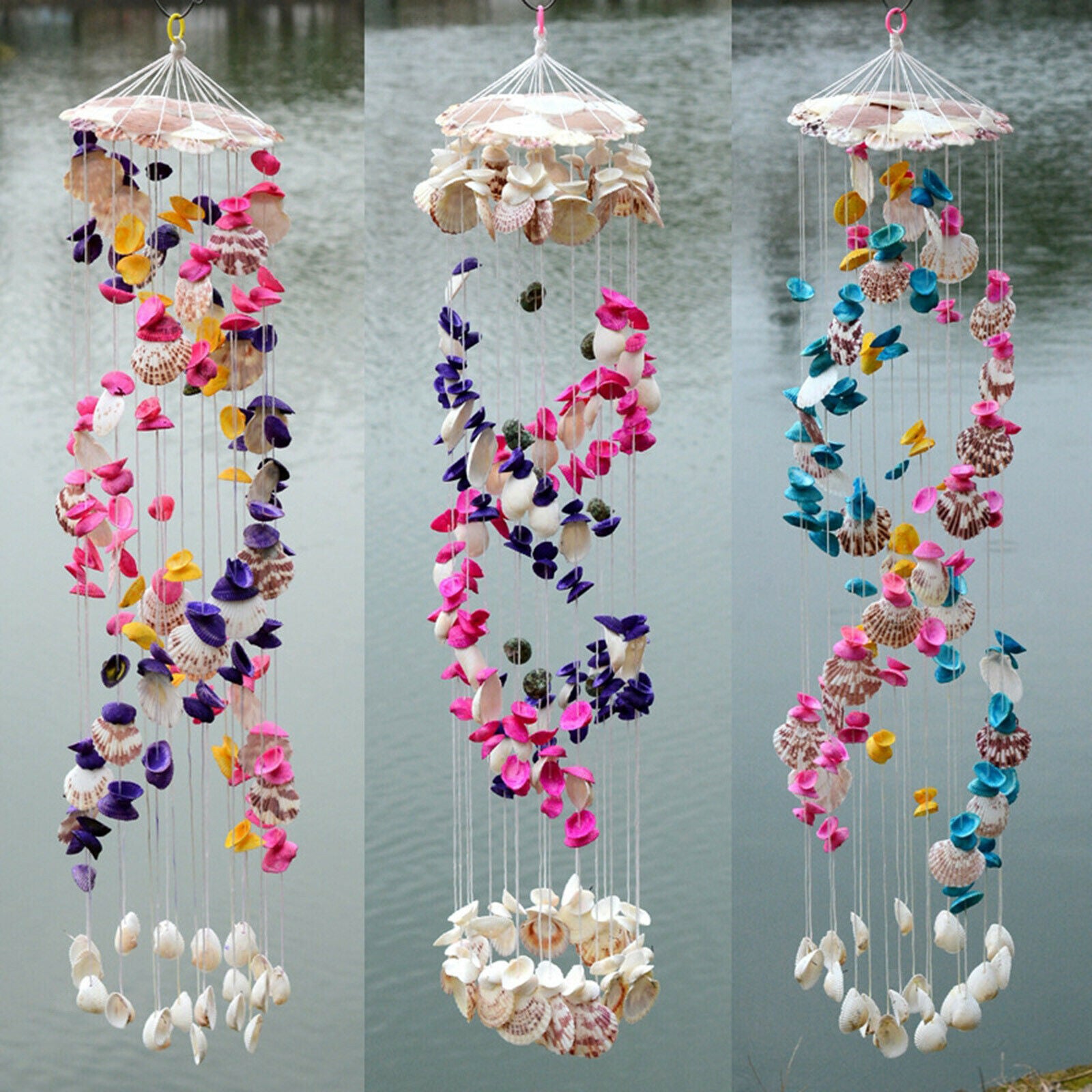Natural Sea Shell Shells Beach Shells for Aquarium Fish