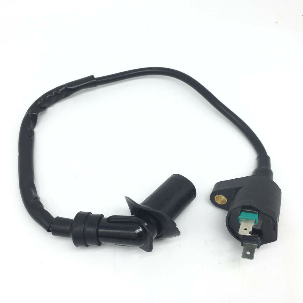 Wiring Loom Harness Kill Switch Ignition Coil CDI For 50-160cc Engine Dirt Bike