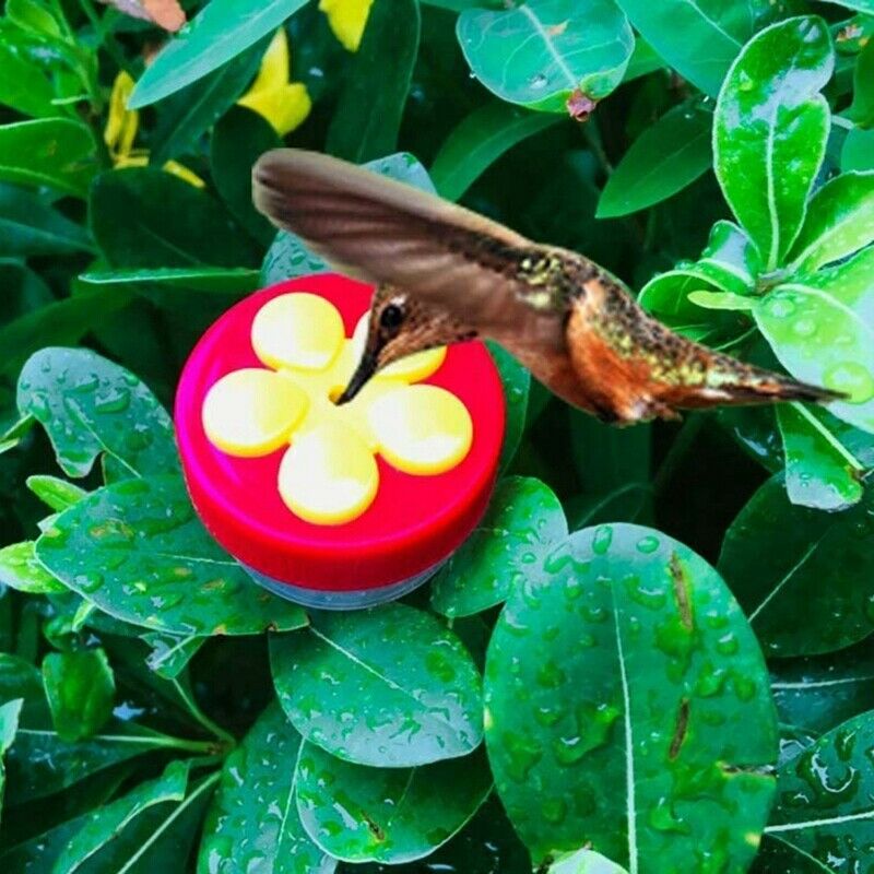 6 Pack Handheld Bird Feeders with Suction Cup,Multifunctional Mini Feeder wiB4I4