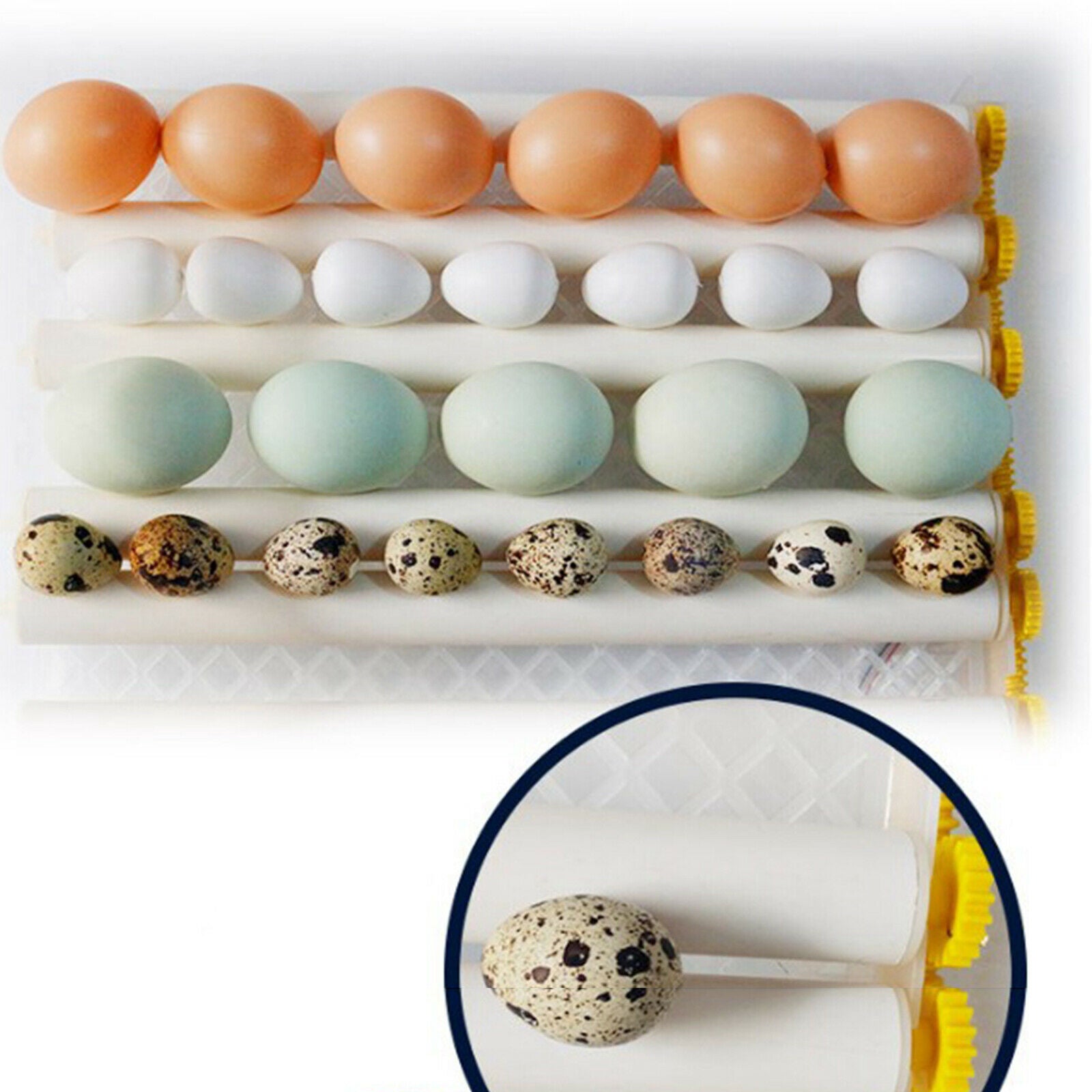 Automatic 16/36 Digital Chick Bird Egg Incubator Hatcher 16 Eggs