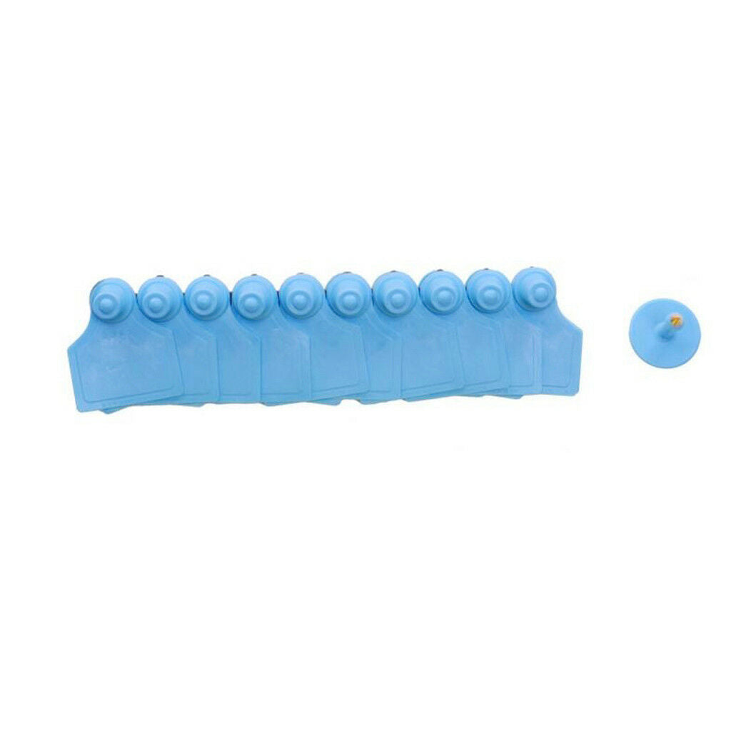 100pcs Blue Blank Plastic Livestock Ear Tag Animal Tag for Goat Sheep Pig