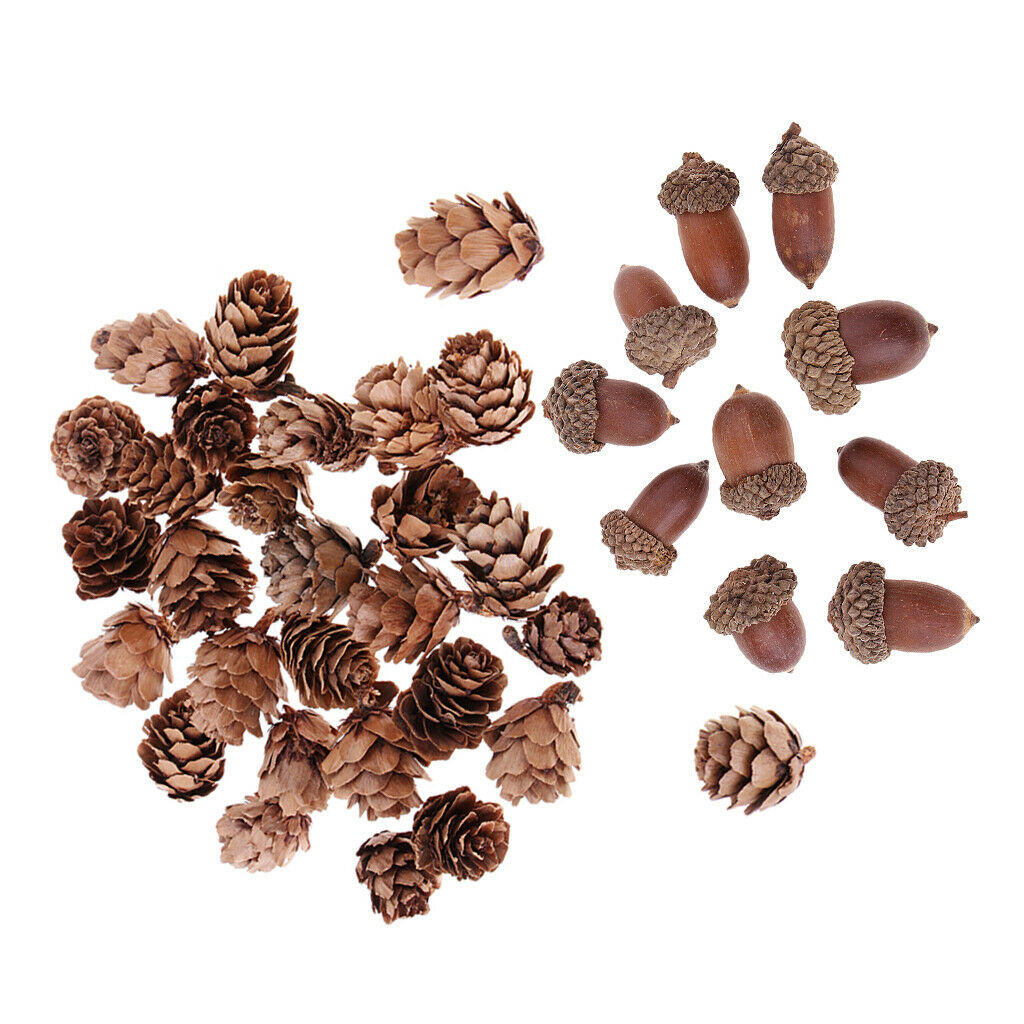 40 Pieces Natural Mini Pine Cones Dried Acorns Accents Table Ornaments Home Room
