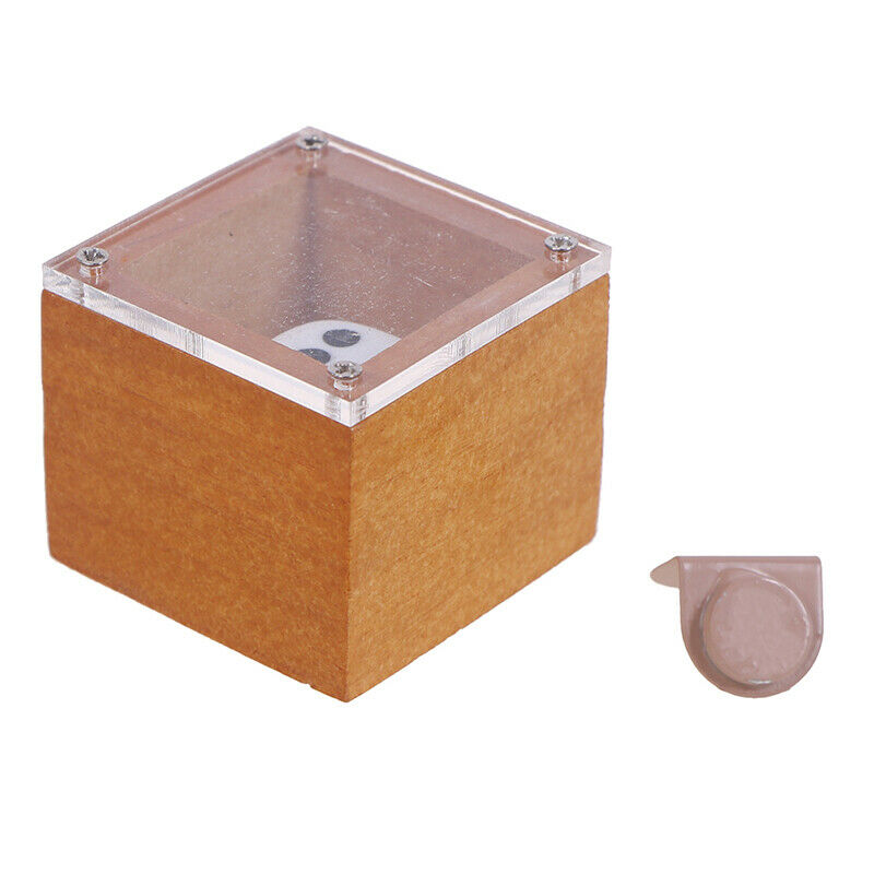 Predicting Magic Shows Dice in the Box Stage Magic Tips Magic Props To.l8