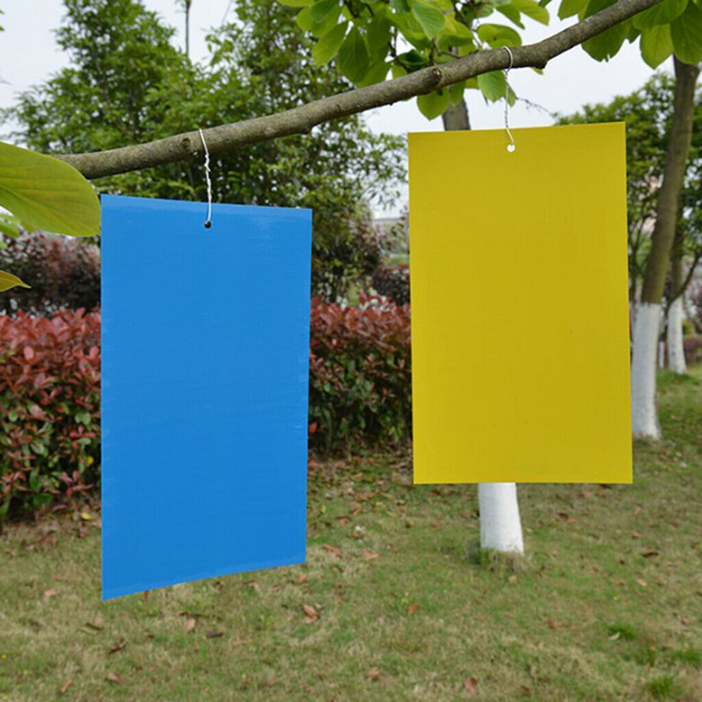 2 Sides Sticky Insect Traps Bug Pads for Insect Useful Catchers Traps Yellow