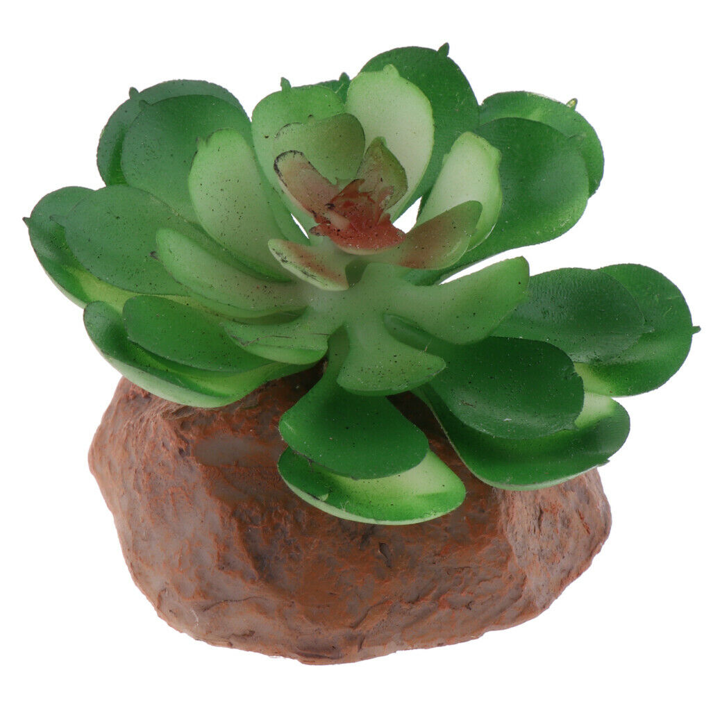 2pcs Animated Plants Underwater Decor Landscape Reptiles Snakes Hidden Cave