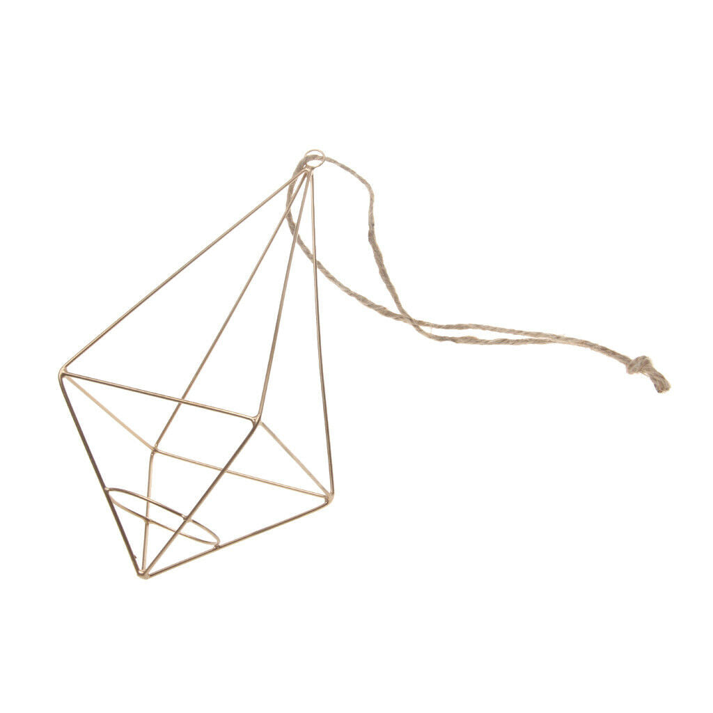 Metal Brass Hanging Tillandsia Air Plant Rack Holder Geometric Hanging Decor