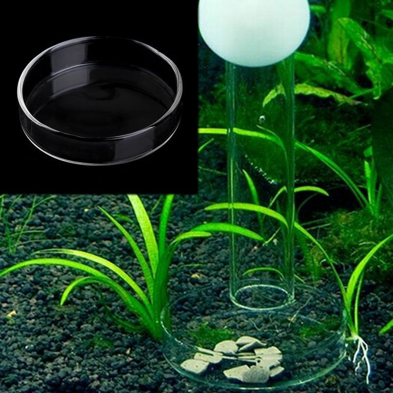 Aquarium Fish Tank Clear Acrylic Shrimp Feeding Food Dish Feeder Tray Container