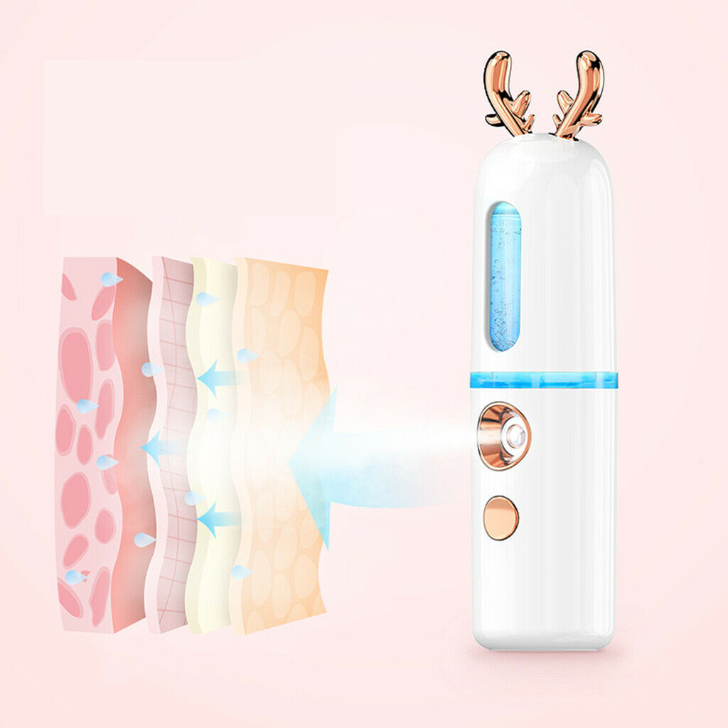 2Pieces Facial Nano Spray Hydrating Nano Steaming Moisturizing Salon Beauty