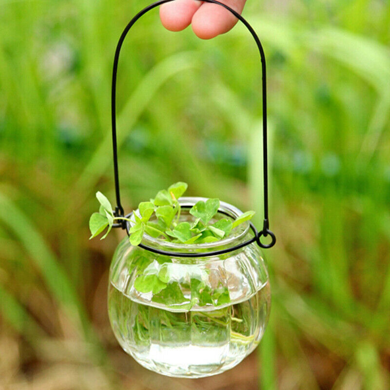 Hydroponic Vase Glass Bottle Pumpkin Flower Arrangement Small Hanging Bot SJ