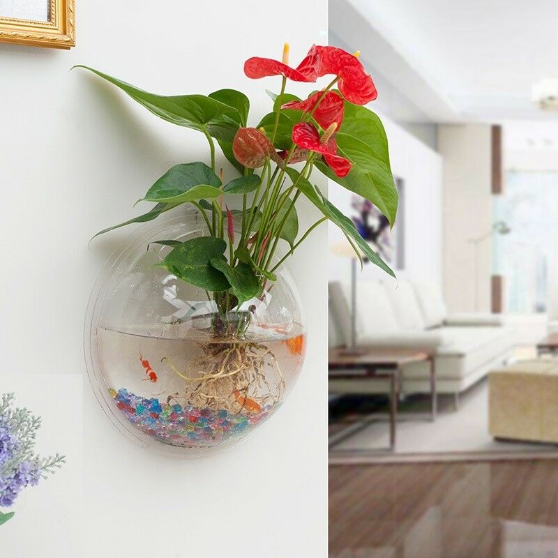Acrylic Wall Mounted Hanging Fish Bowl Aquarium Tank Hanger Plant Home Decor